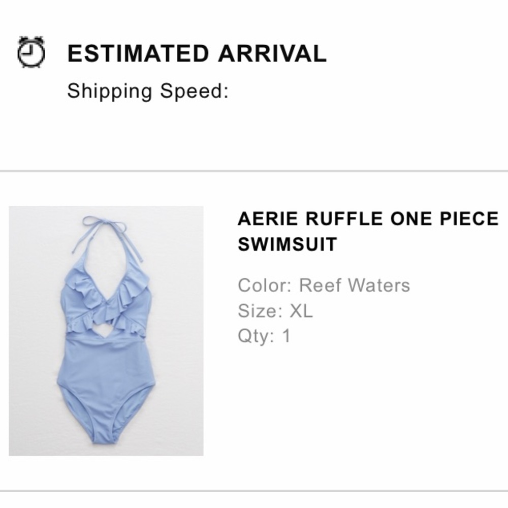 Aerie bathing suit